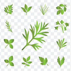 Green Leaf and Plant Foliage Vector Icons Set