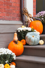 pumpkin and pumpkins