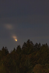 Bright Comet Over Forest at Twilight