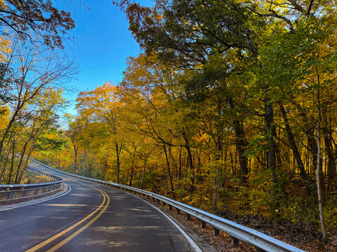 Curving Forest Road Surrounded by Golden Autumn Trees