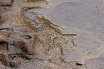 Horizontal Sandstone River Edge at Palmer Canasket Park