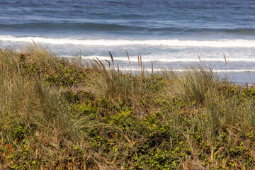 Oregon Coast Sand Dunes and Pacific Waves