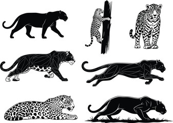 WebLeopard and panther illustrations in dynamic poses &ndash; silhouette, stalking, running, climbing, lying, cub, upright, spotted styles