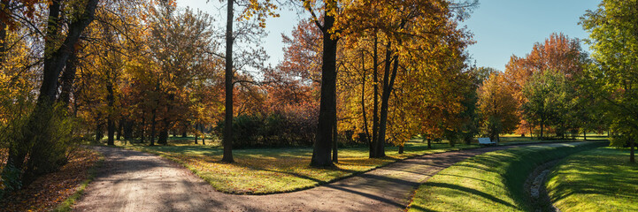 Peaceful autumn scene in Alexandria Park, Peterhof, with sunlit trees, winding paths, and a small stream under clear blue sky.