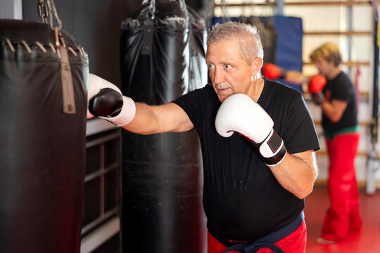 Focused senior karate practitioner in white gloves, black t-shirt and red pants tied with blue belt throwing punch at heavy bag during training in martial arts dojo