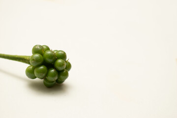 Green Coffee Berries on White Surface