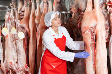 Female butcher inspecting pig carcass in meat storage