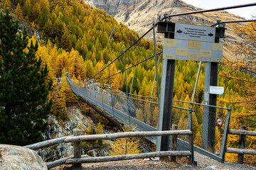 Furi Hangebrucke Surrounded By Golden Larch Forest
