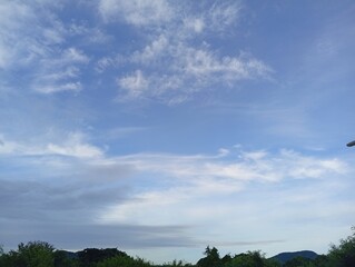 clouds over the forest