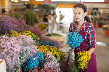 Adult female seller holding bouquet of dried flowers in flower shop