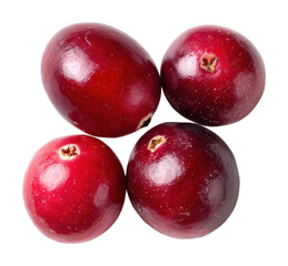 Obraz premium Fresh cranberries harvest farm field food natural light isolated on transparent background