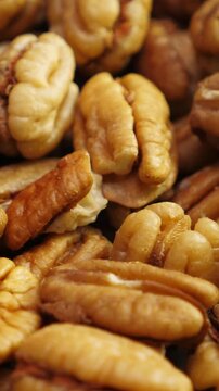 Pecan nuts background. Closeup pekan seeds. Rotate. Vertical footage