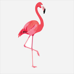 Obraz premium A vibrant pink flamingo stands on one leg against a clean white background in a simple graphic illustration.