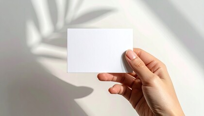 Woman Hand Holding Blank White Square Card With Palm Tree Shadow Overlay Against White Background Soft Natural Lighting