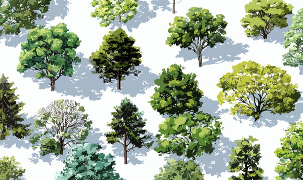 Una collezione diversificata di alberi vettoriali, che mostra varie specie e un fogliame verde lussureggiante, ideale per progetti ambientali e di design.