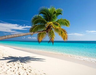 Fototapeta premium Tropical beach scene with a leaning palm tree