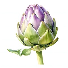 Fototapeta premium Close-up of a vibrant artichoke bud, showcasing its intricate layers and subtle color variations