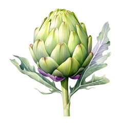 Fototapeta premium Close-up of a vibrant green artichoke with visible details of its leaves and stem