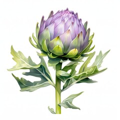 Close-up of an artichoke bud with vibrant purple and green hues