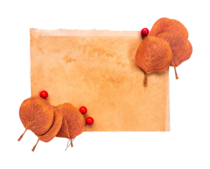 autumn leaves with blank old paper for christmas decoration isolated on white background