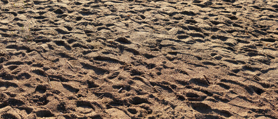Many footprints cover a sandy beach, illuminated by warm sunlight, showing natural textures and patterns on the surface.