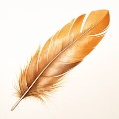 Fototapeta premium Single light brown feather isolated on white background