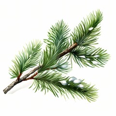 Watercolor painting of a pine branch with snow