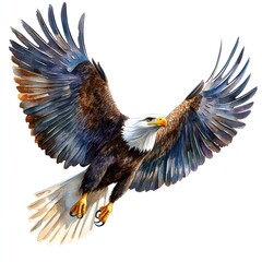 Fototapeta premium Majestic bald eagle in flight, watercolor illustration
