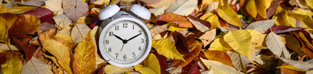 Signs of change, time and seasons, white analog alarm clock in pile of yellow and red ash tree...