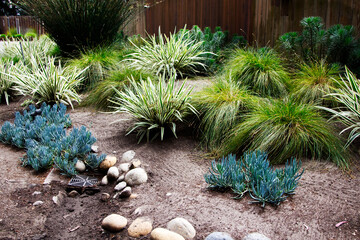 Drought Resistant Garden Landscaping Watsonville California