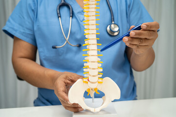 Doctor with lumbar vertebra bone skeleton and nerve model for treatment in the orthopedic...