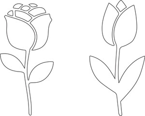 Minimalist Rose and Tulip Outlines. Simple line art botanical illustrations for elegant floral designs and natural concepts