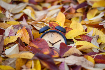 Modern black and gold analog alarm clock partially covered in pile of yellow and red ash tree...