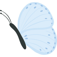 Delicate Light Blue Butterfly With Speckled Wings And Antennae Isolated On A Transparent Background Detailed Illustration