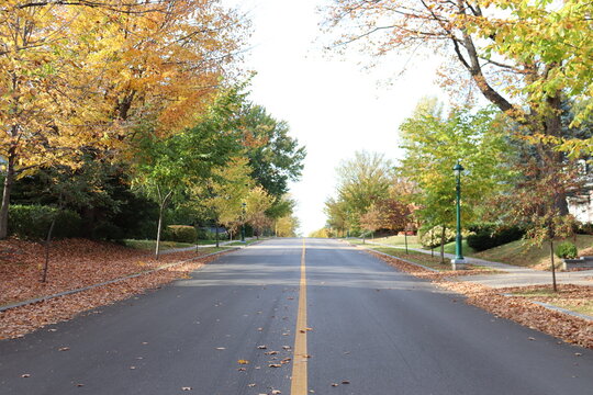 An urban road in autumn with houses and trees. October calendar and environment. Cityscape with houses with parking. Day and weather in the fall season and outdoor activities.