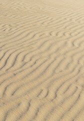 Fototapeta premium Fine grain neutral sand texture background for copy space or product presentation abstract backdrop ,monochrome ,macro ,sand