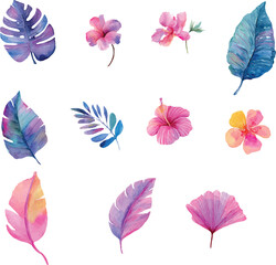 set of pink and purple flowers