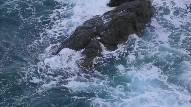 The powerful and dynamic sea of ​​AmamI