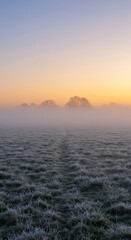 Frosty landscape at sunrise during the cold winter months. Low angle light breaks through the heavy fog creating an icy, dramatic atmosphere ,serene ,fog ,blue