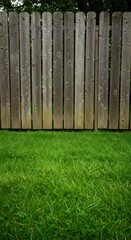 Lush green grass and a wooden fence providing a peaceful, natural outdoor background setting perfect for spring or summer scenes ,environment ,serene ,exterior