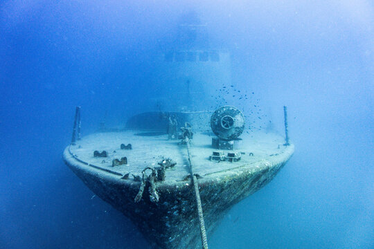 タイ、タオ島の沈船 HTMS Sattakut と魚、水中世界の風景