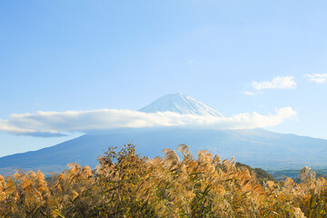 完璧な円錐形：黄金の裾野と白雪の富士山