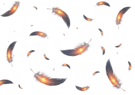 Glowing feathers floating in darkness isolated on transparent background