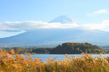 日本のシンボル 富士山と秋の風景、手前にはきらめくススキ