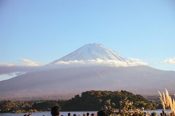 河口湖周辺の青空と黄金ススキの穂、そして笠雲の富士山