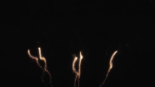 Fireworks exploding on the night sky