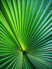 Obraz premium Palm leaves in close-up with intricate details of veins and texture