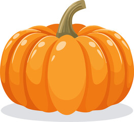 Pumpkin Illustration
