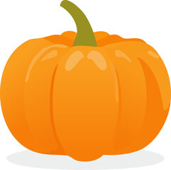 Pumpkin Illustration