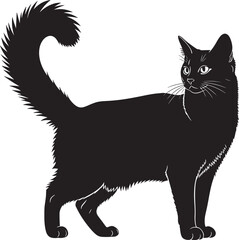 Elegant black cat silhouette standing proudly with bushy tail and alert eyes full body view